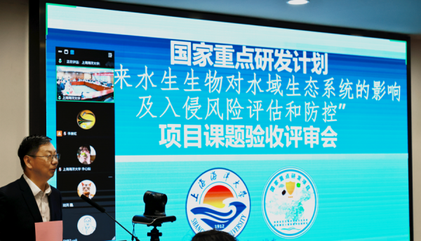 水下“入侵者”发现即扩散？上海高校牵头，科技助力守好“水中国门”